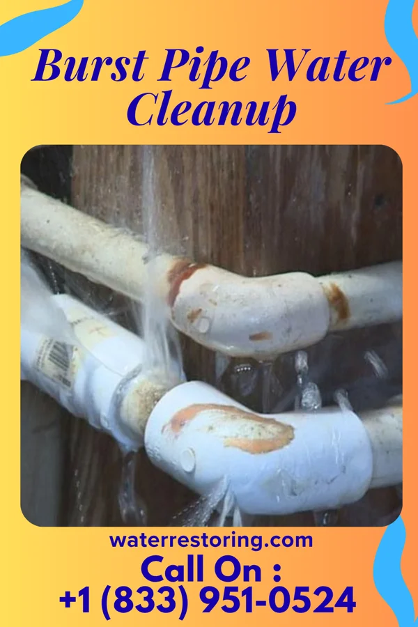 Burst Pipe Water Cleanup in Continental, OH