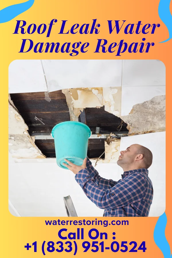 Roof Leak Water Damage Repair in Continental, OH